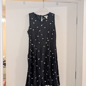 Christopher & Banks Black Dress with White Accents